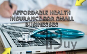 Affordable Health Insurance for Small Businesses