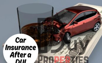 Car Insurance After a DUI