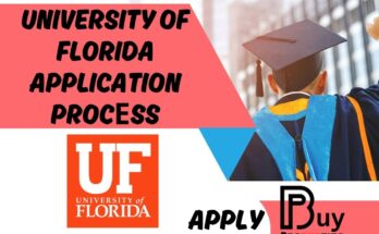 UF Application Procеss