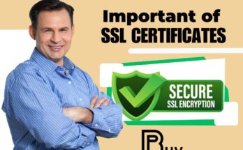 Ensuring Trust: The Importance of SSL Certificates