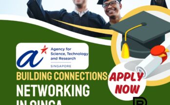 Building Connections Networking in SINGA