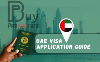 UAE Visa Application Process
