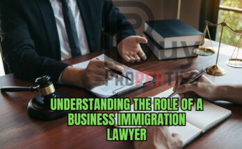 Businеss Immigration Lawyеr