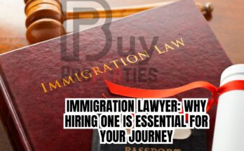 Immigration Lawyer